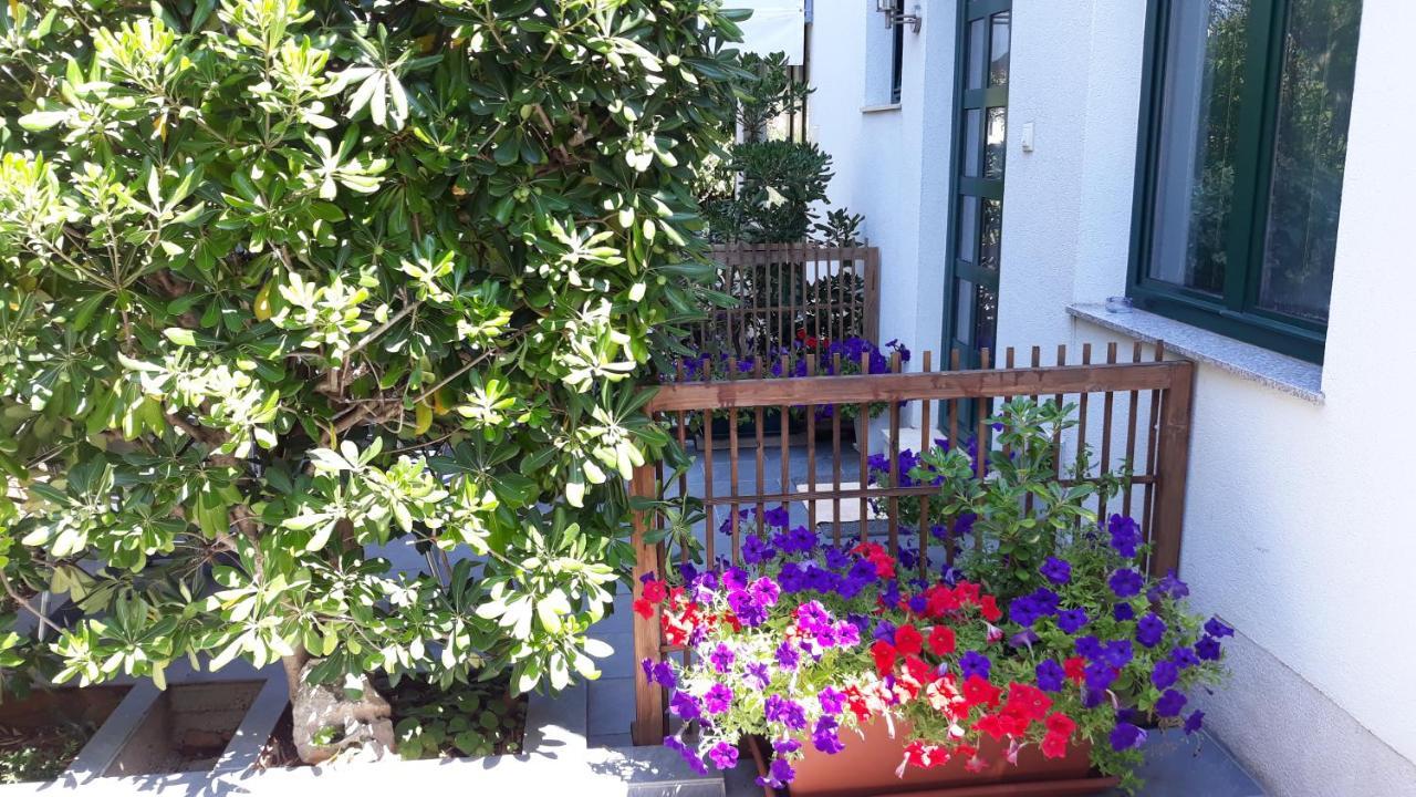 Apartments Suljic - Cash Only Property Stari Grad  Dış mekan fotoğraf
